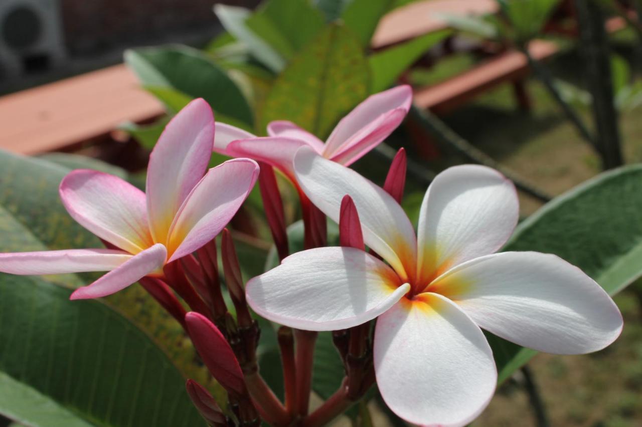 北谷 Vacation House Malapua ชาตัน ภายนอก รูปภาพ